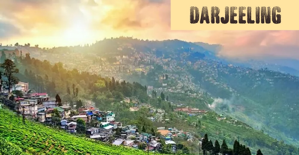 darjeeling